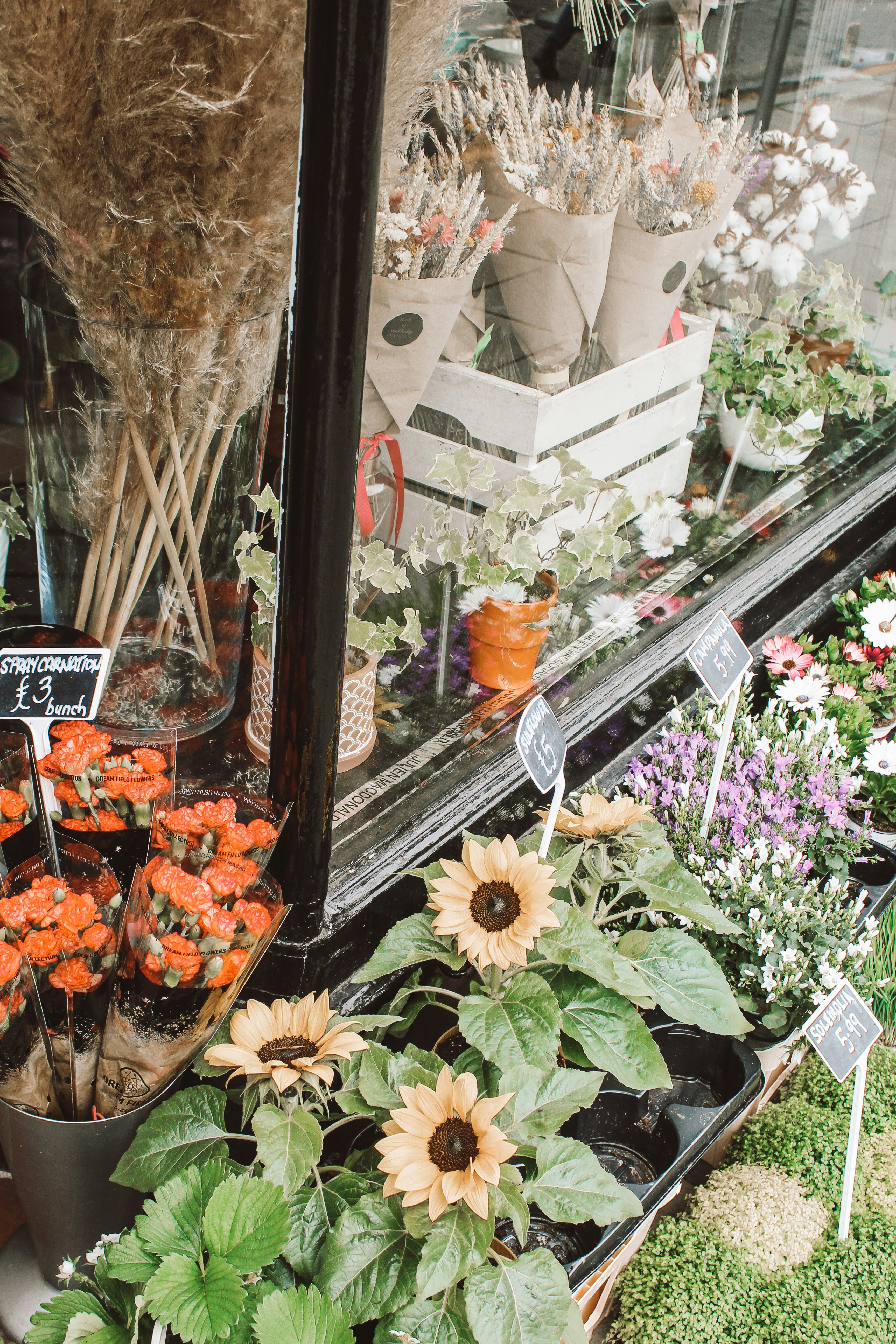 orange and white flowers in clear glass vase